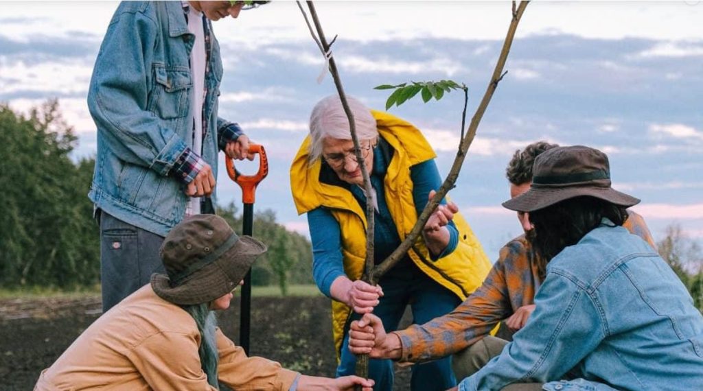 collaborative planting